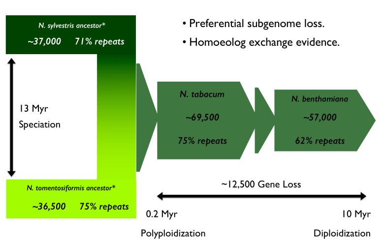 Screen Shot 2017-12-01 at 7.48.00 AM